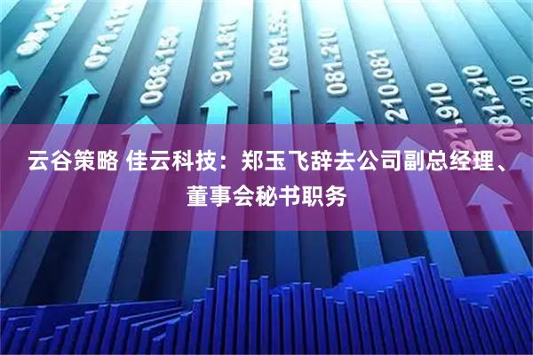 云谷策略 佳云科技：郑玉飞辞去公司副总经理、董事会秘书职务