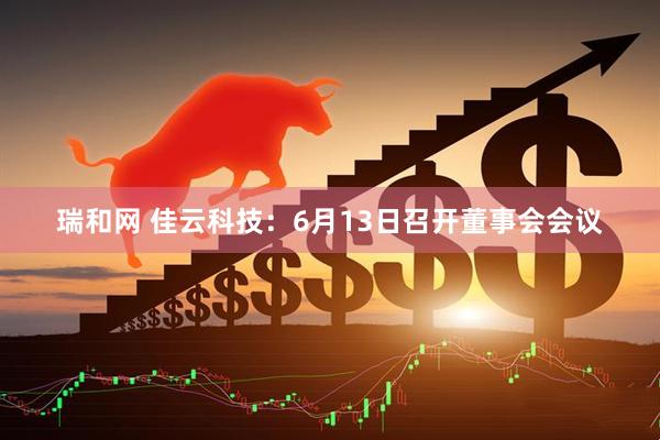 瑞和网 佳云科技：6月13日召开董事会会议