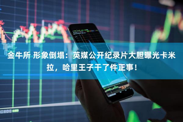 金牛所 形象倒塌：英媒公开纪录片大胆曝光卡米拉，哈里王子干了件正事！