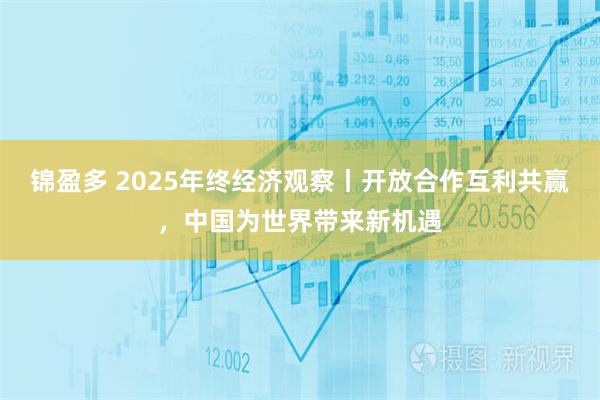 锦盈多 2025年终经济观察丨开放合作互利共赢，中国为世界带来新机遇
