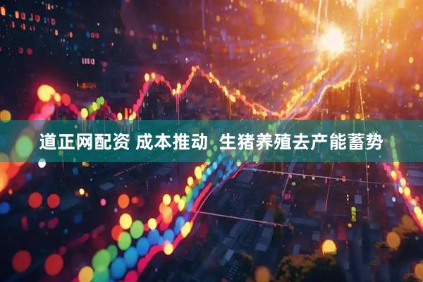 道正网配资 成本推动  生猪养殖去产能蓄势