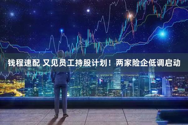 钱程速配 又见员工持股计划！两家险企低调启动