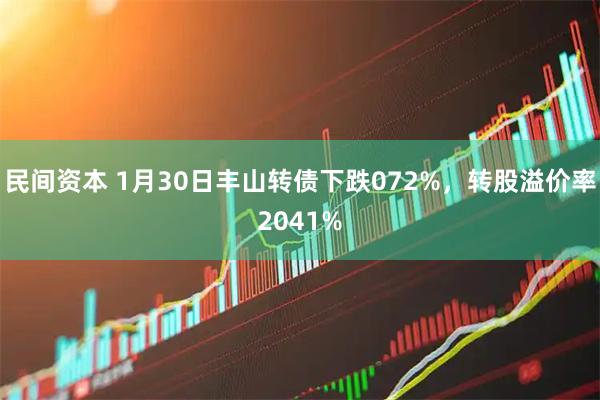 民间资本 1月30日丰山转债下跌072%，转股溢价率2041%