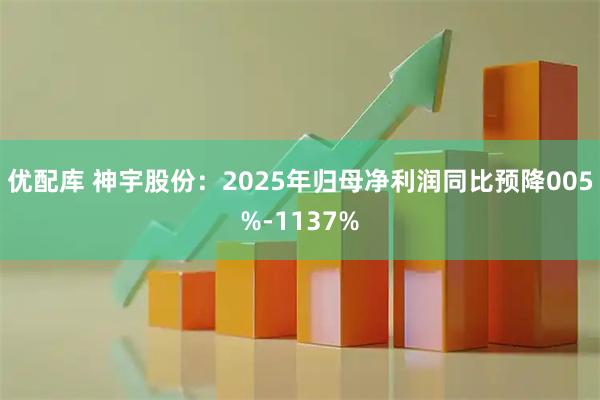 优配库 神宇股份：2025年归母净利润同比预降005%-1137%