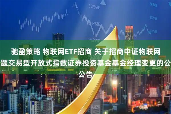 驰盈策略 物联网ETF招商 关于招商中证物联网主题交易型开放式指数证券投资基金基金经理变更的公告