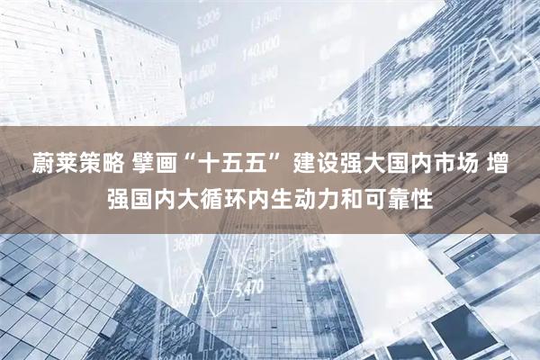蔚莱策略 擘画“十五五” 建设强大国内市场 增强国内大循环内生动力和可靠性