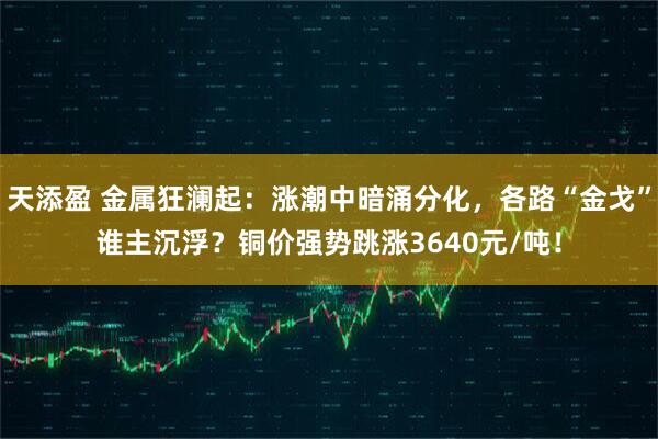 天添盈 金属狂澜起：涨潮中暗涌分化，各路“金戈”谁主沉浮？铜价强势跳涨3640元/吨！